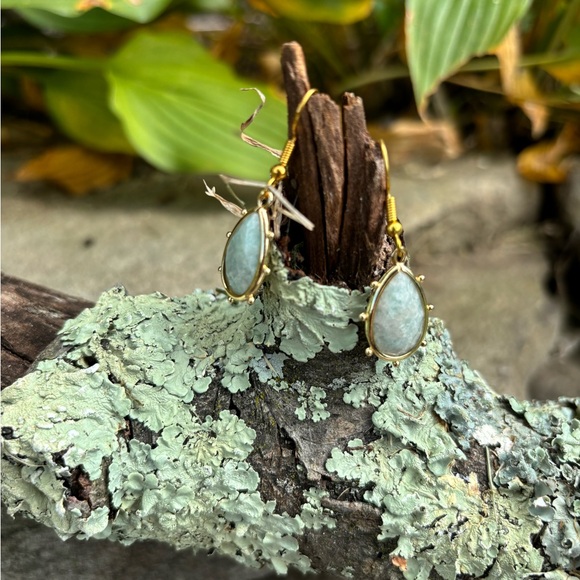 Genuine Amazonite Stone Earring - Picture 3 of 6